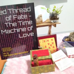 Red Thread of Fate the Time Machine of Love
